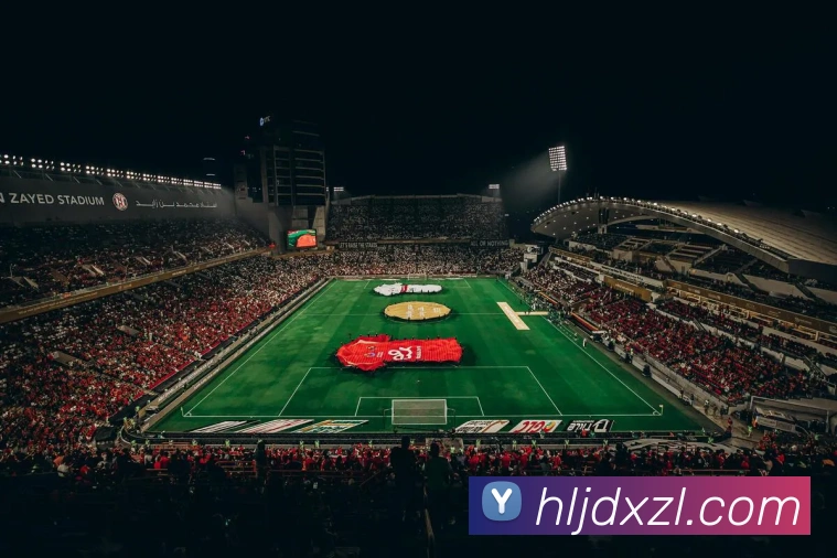 奖项证书